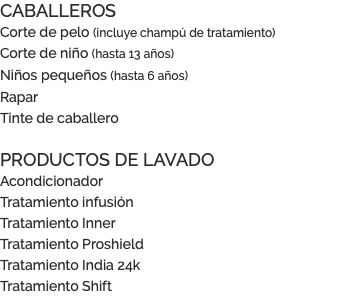 CABALLEROS Corte de pelo (incluye champú de tratamiento) Corte de niño (hasta 13 años) Niños pequeños (hasta 6 años) Rapar Tinte de caballero PRODUCTOS DE LAVADO Acondicionador Tratamiento infusión Tratamiento Inner Tratamiento Proshield Tratamiento India 24k Tratamiento Shift